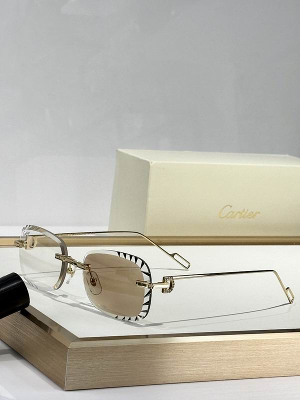 Cartier Glasses smr (194)