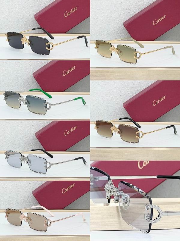 Cartier Glasses smr (2001)