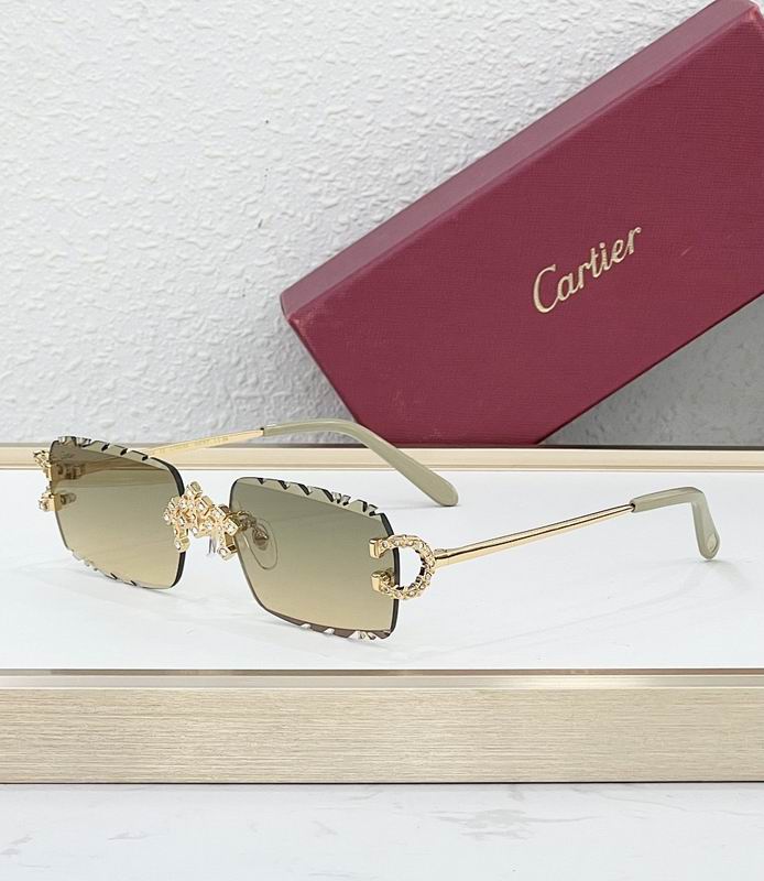 Cartier Glasses smr (2007)