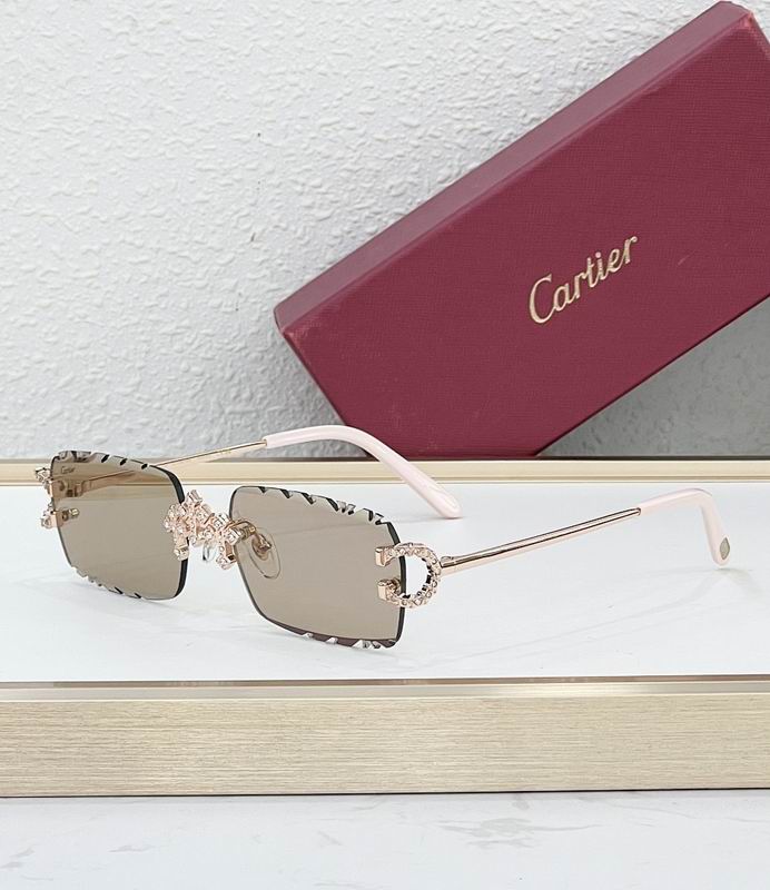 Cartier Glasses smr (2008)
