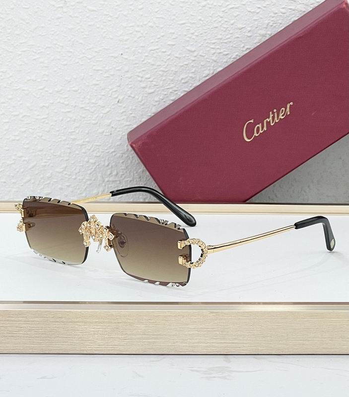Cartier Glasses smr (2010)