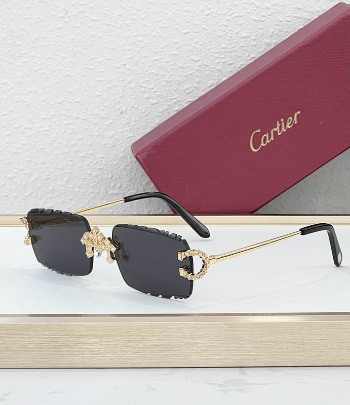 Cartier Glasses smr (2012)