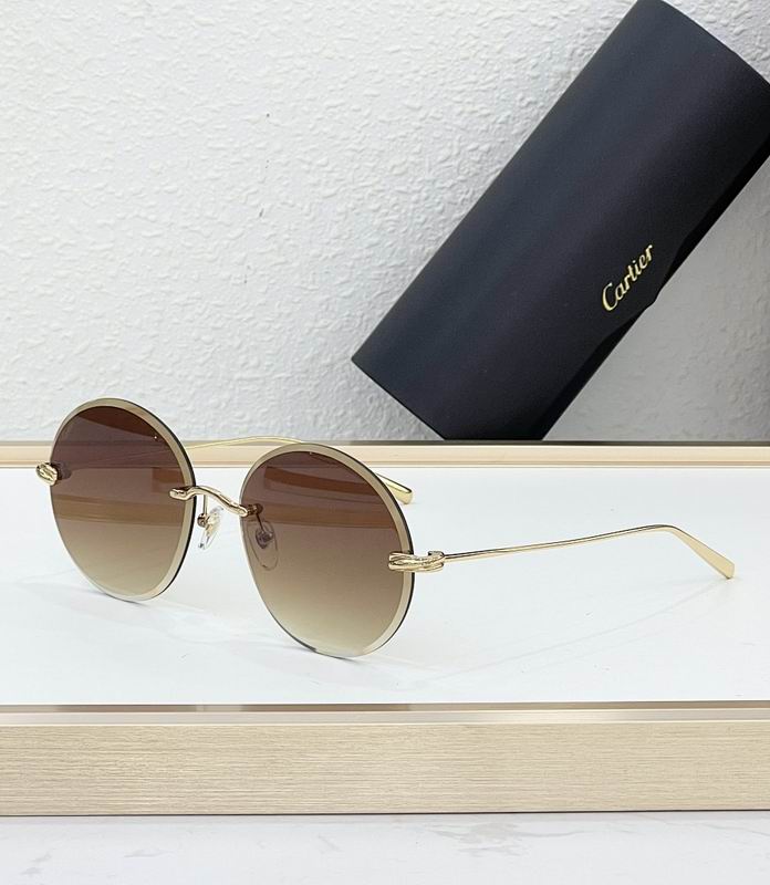 Cartier Glasses smr (2024)