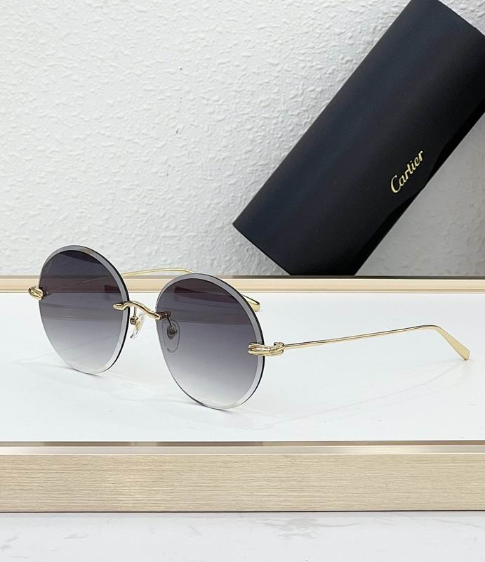 Cartier Glasses smr (2025)