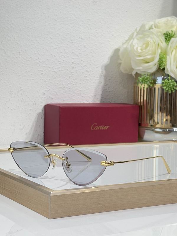 Cartier Glasses smr (2038)