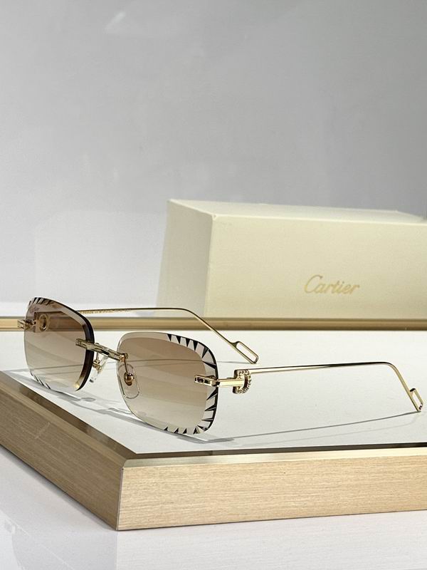 Cartier Glasses smr (205)