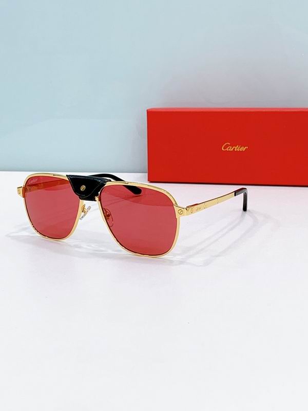 Cartier Glasses smr (2055)