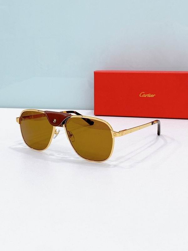 Cartier Glasses smr (2059)