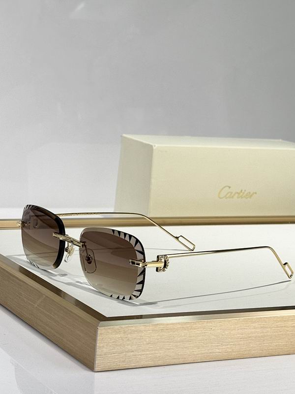Cartier Glasses smr (206)
