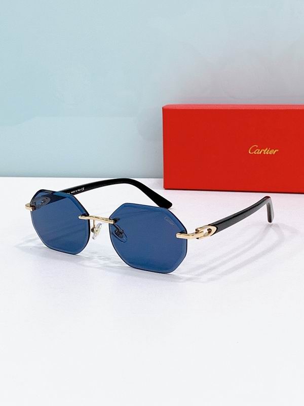 Cartier Glasses smr (2069)