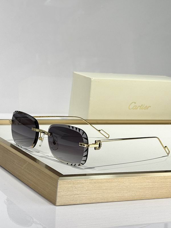 Cartier Glasses smr (207)