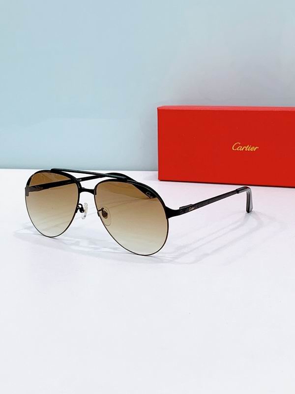 Cartier Glasses smr (2089)