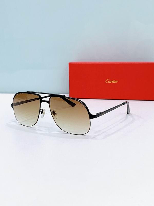 Cartier Glasses smr (2101)