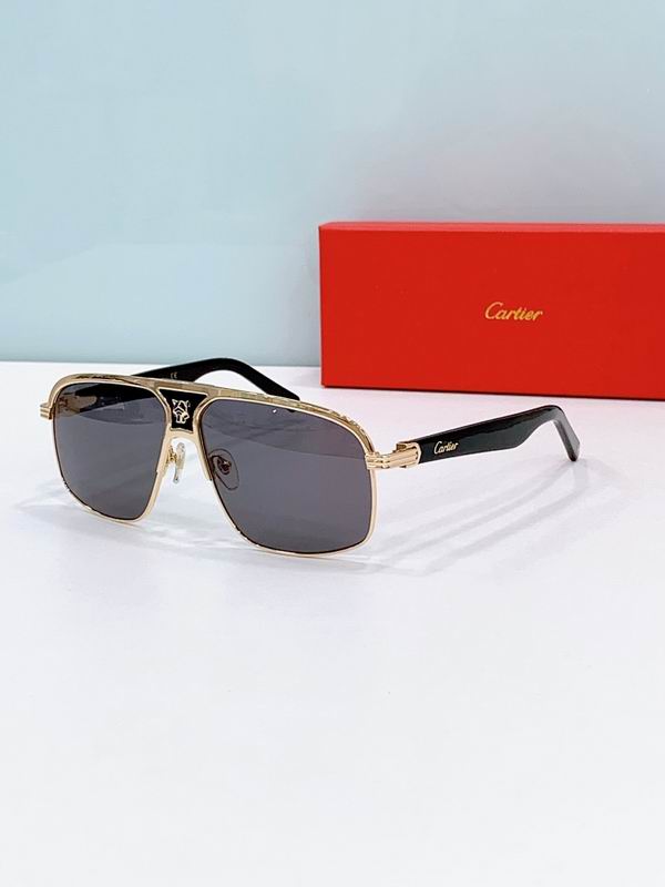 Cartier Glasses smr (2109)