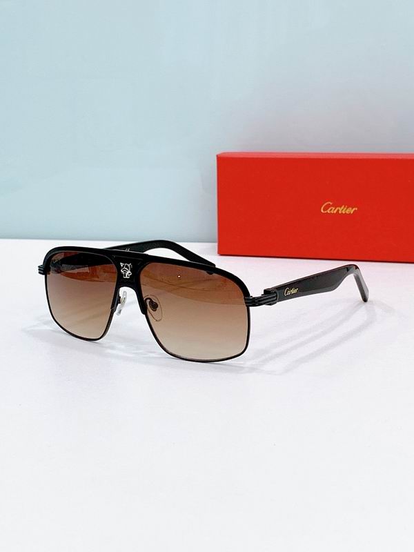 Cartier Glasses smr (2110)
