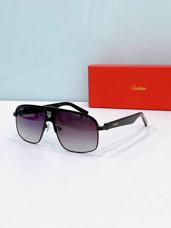 Cartier Glasses smr (2113)