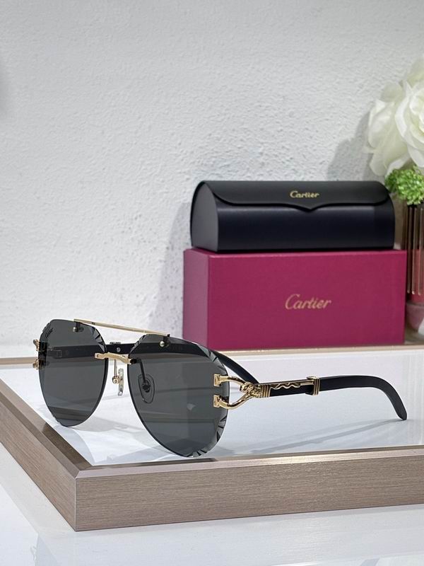Cartier Glasses smr (2116)