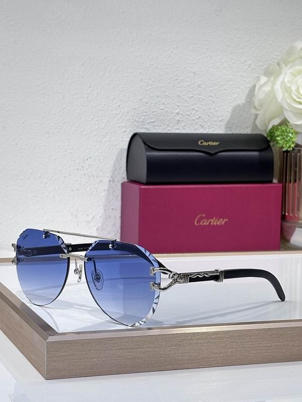 Cartier Glasses smr (2119)