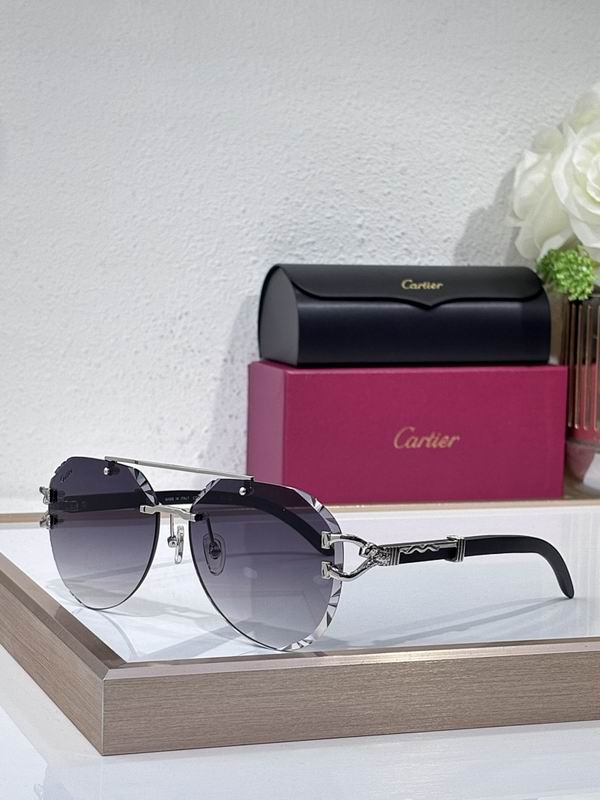 Cartier Glasses smr (2120)