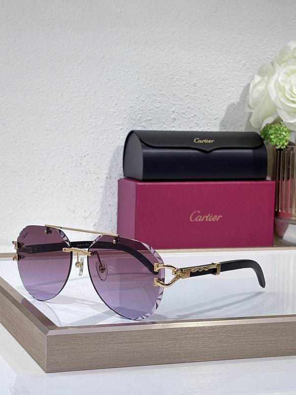 Cartier Glasses smr (2121)