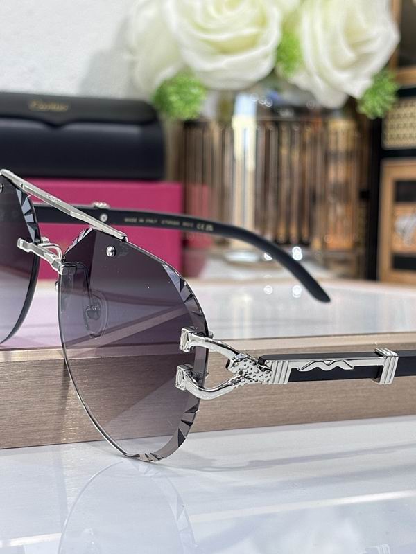 Cartier Glasses smr (2124)