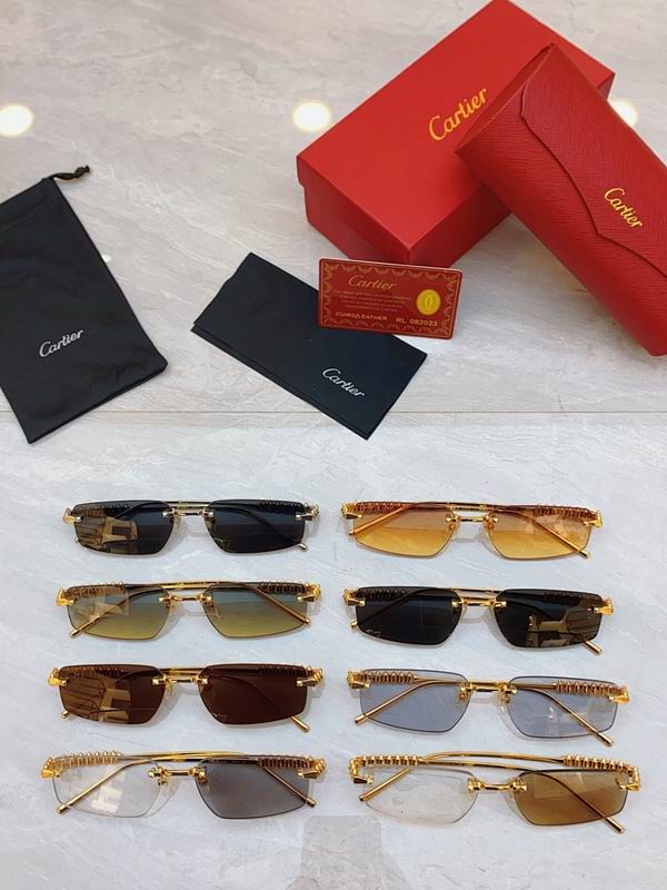 Cartier Glasses smr (2165)