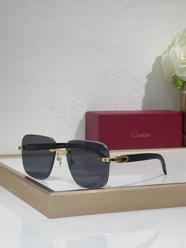 Cartier Glasses smr (2243)