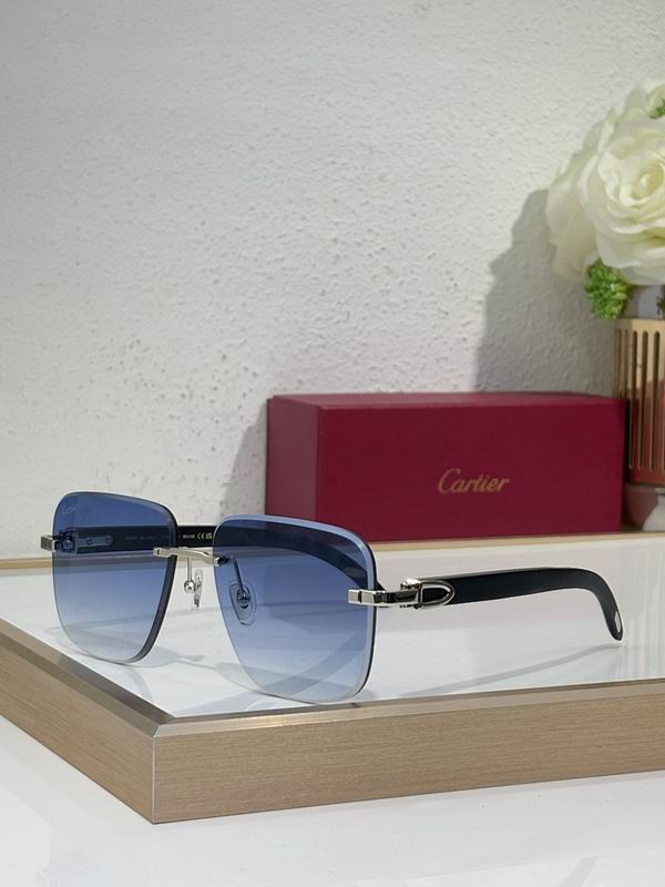 Cartier Glasses smr (2246)