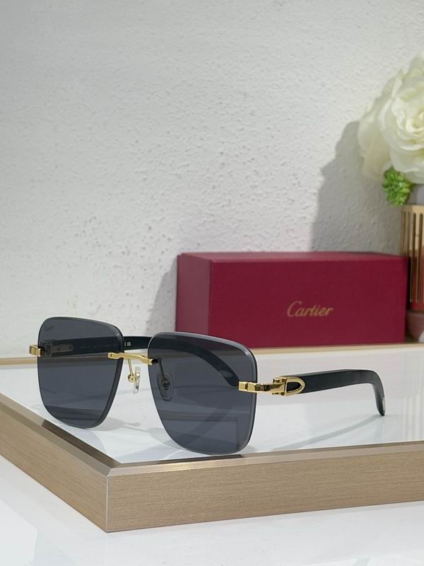 Cartier Glasses smr (2247)
