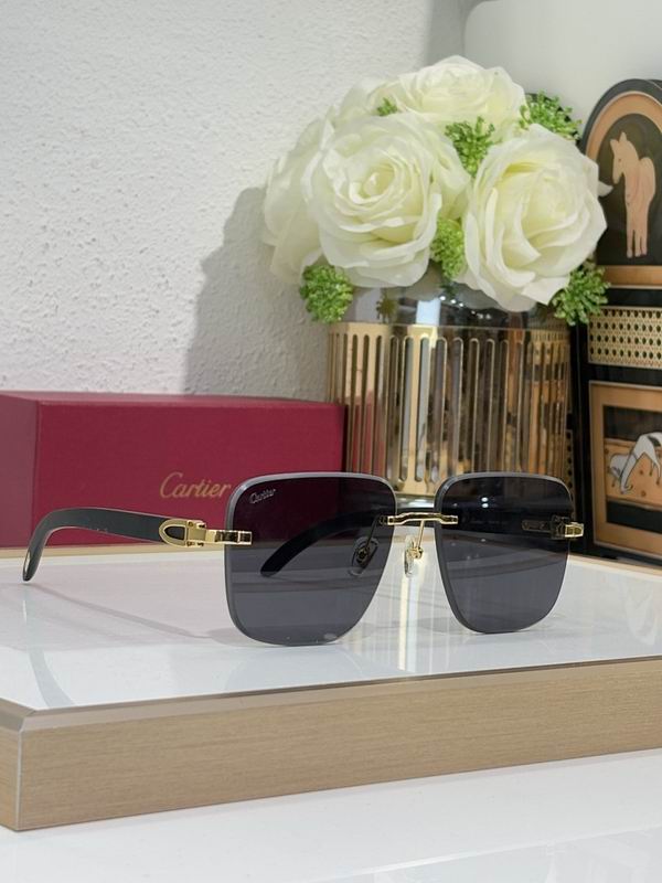 Cartier Glasses smr (2248)