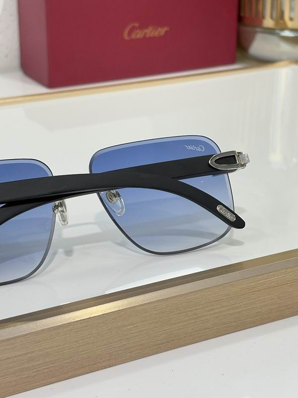 Cartier Glasses smr (2249)