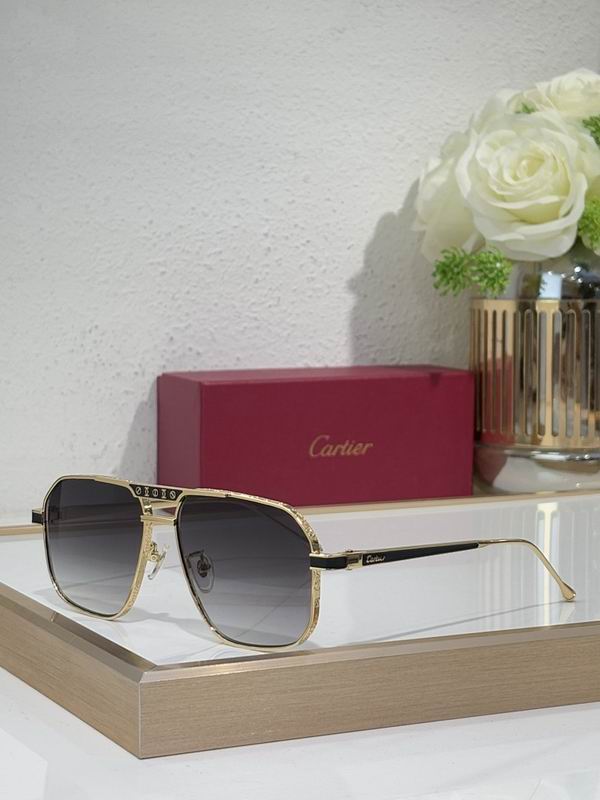 Cartier Glasses smr (2263)
