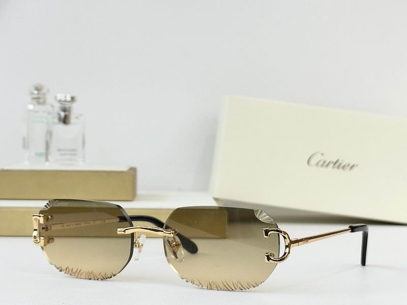 Cartier Glasses smr (2387)