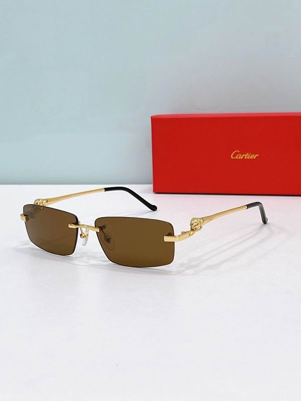 Cartier Glasses smr (239)