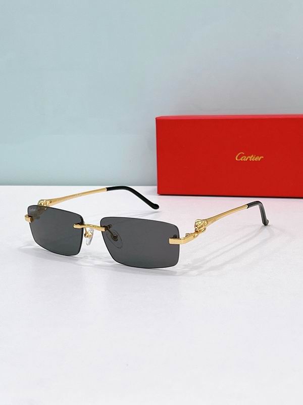 Cartier Glasses smr (242)