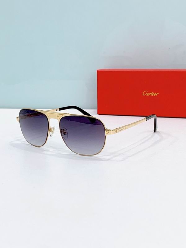 Cartier Glasses smr (2477)