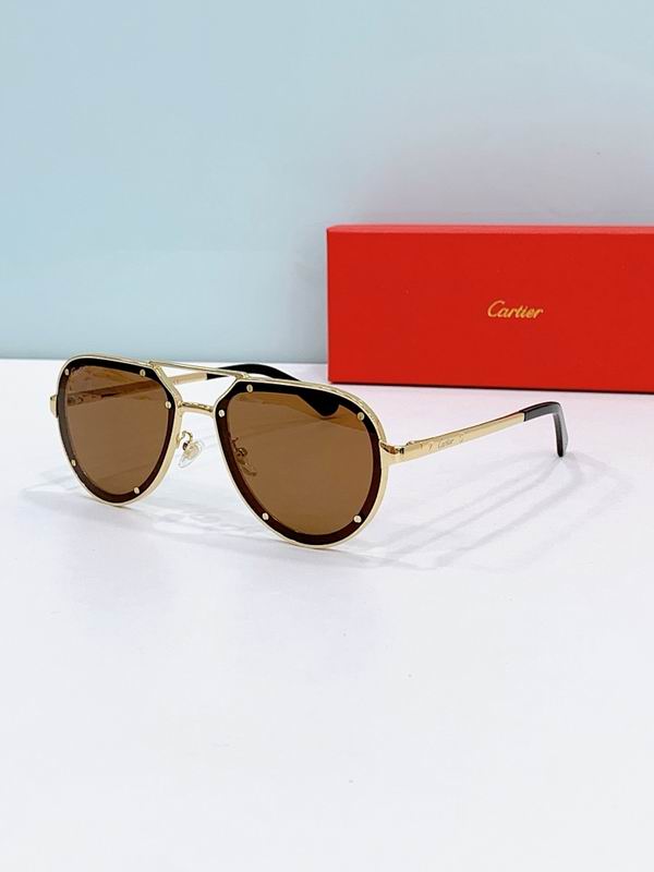 Cartier Glasses smr (2486)