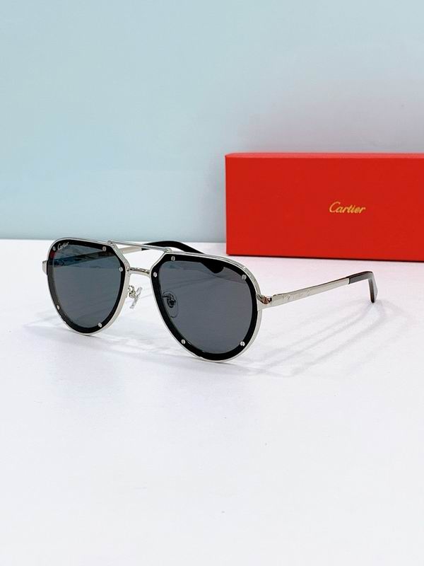 Cartier Glasses smr (2491)