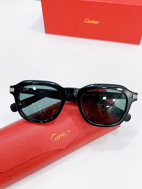 Cartier Glasses smr (2496)