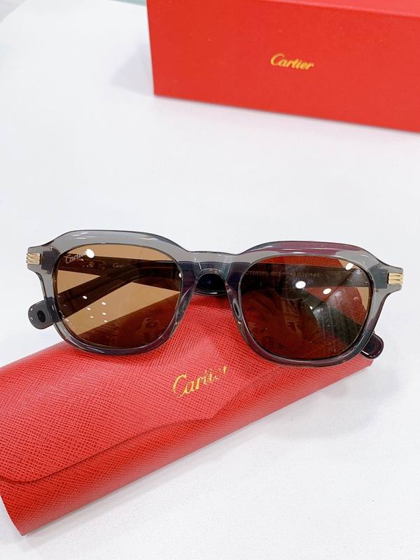 Cartier Glasses smr (2501)