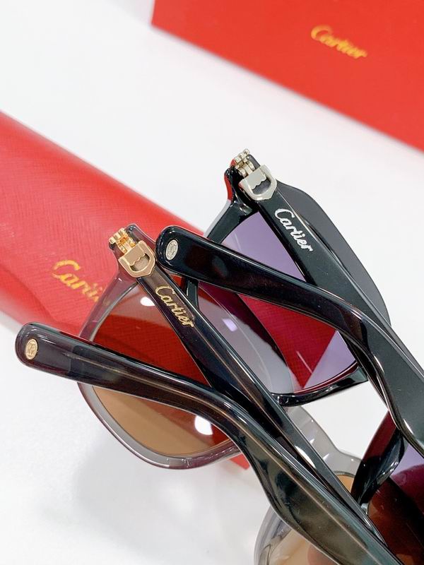 Cartier Glasses smr (2504)