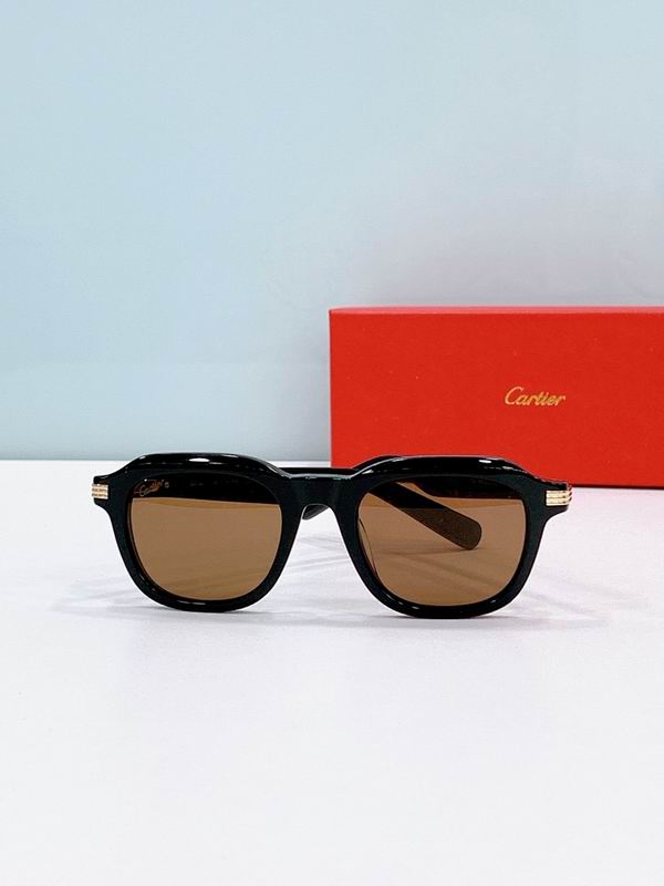 Cartier Glasses smr (2508)