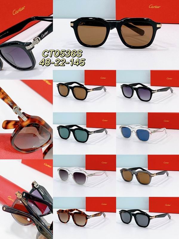 Cartier Glasses smr (2509)