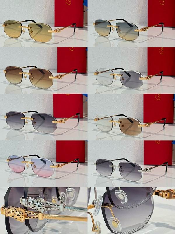Cartier Glasses smr (338)