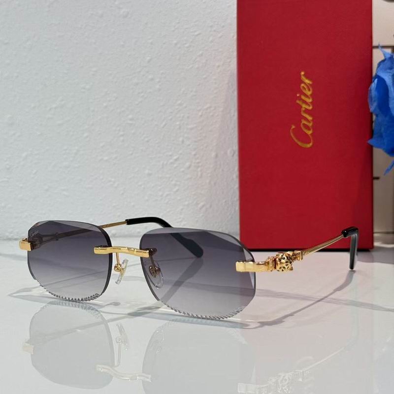 Cartier Glasses smr (344)