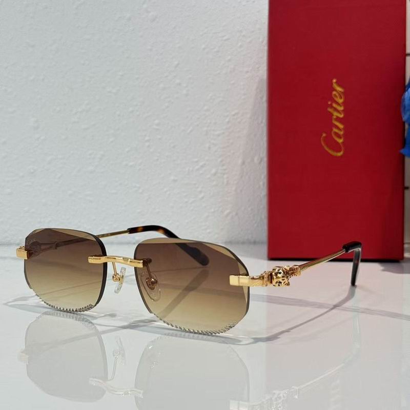 Cartier Glasses smr (346)