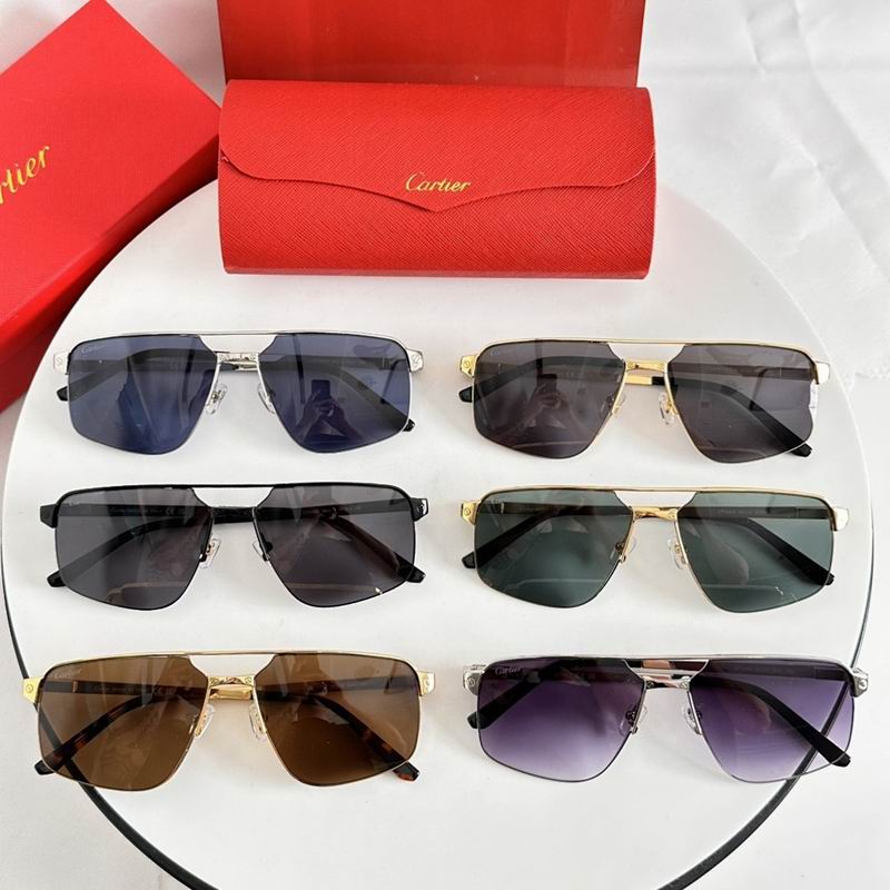 Cartier Glasses smr (39)