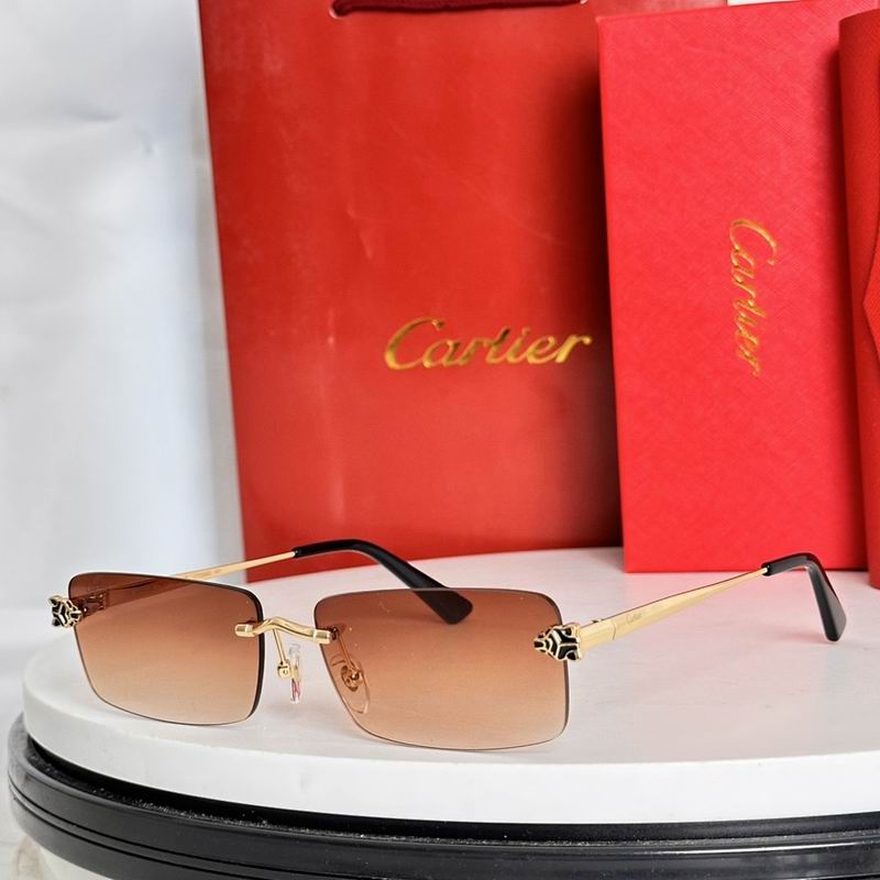 Cartier Glasses smr (41)