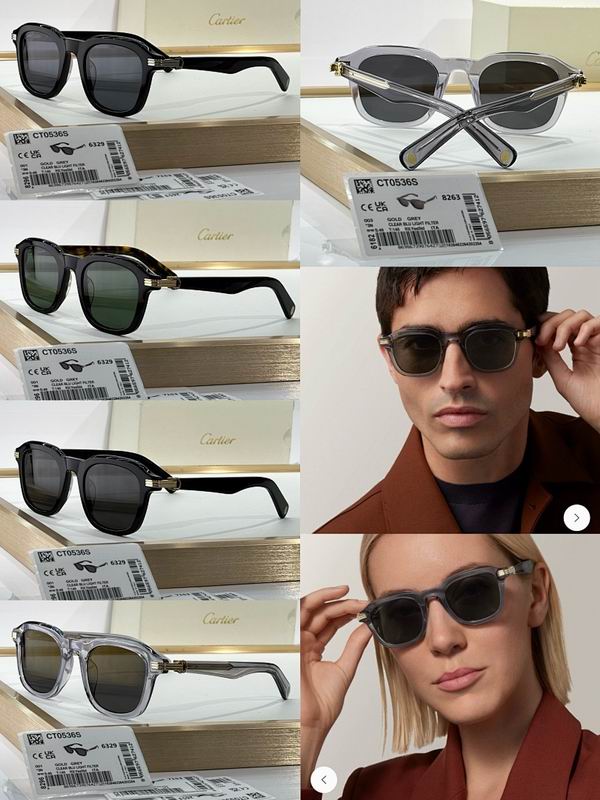 Cartier Glasses smr (416)