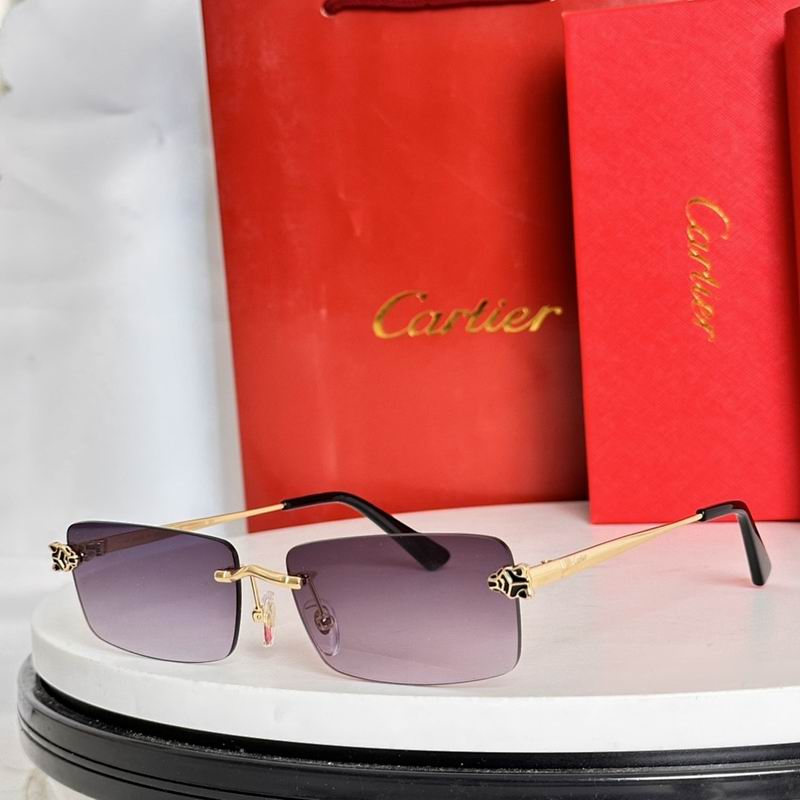 Cartier Glasses smr (42)